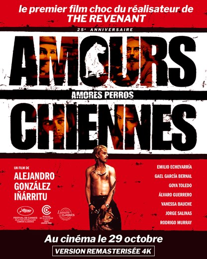 Affiche du film Amours chiennes