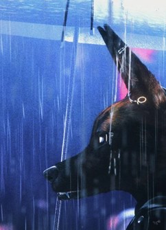 Affiche du film Bouchra