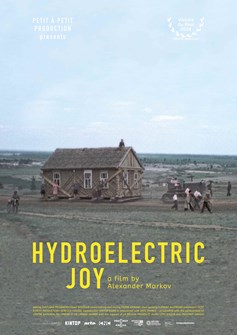 Affiche du film Un bonheur hydroélectrique