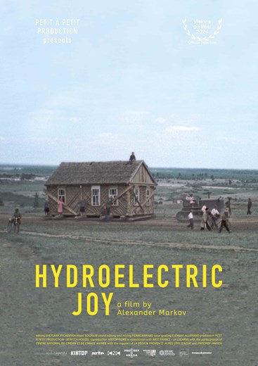 Affiche du film Un bonheur hydroélectrique