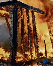 Affiche du film La Langue du feu