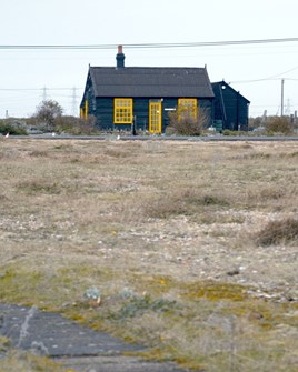 Affiche du film Prospect Cottage