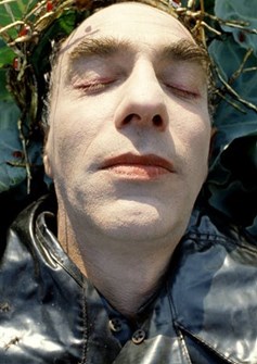 Affiche du film The Garden