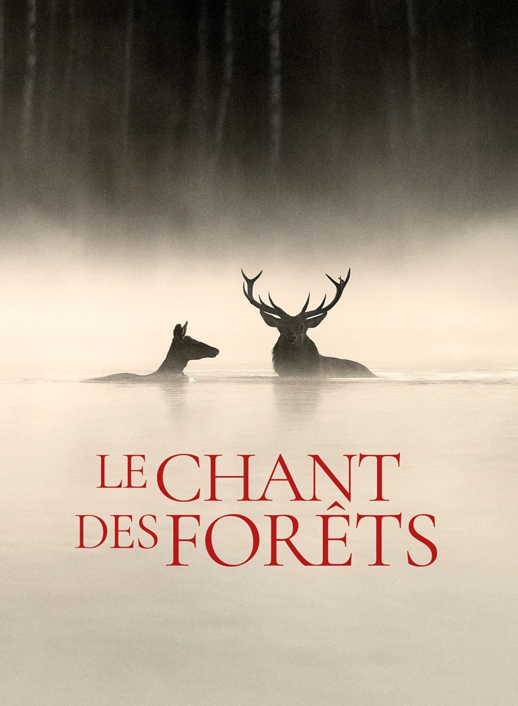 Affiche du film Le chant des forêts