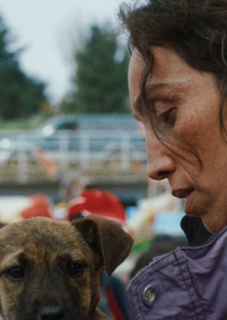 Affiche du film La chienne