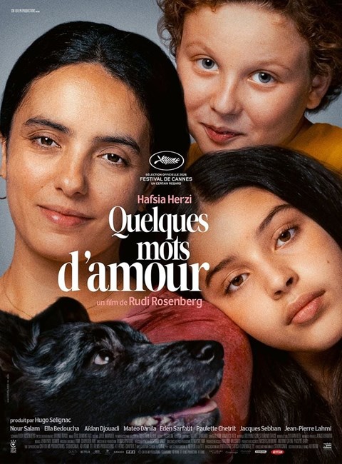 Affiche du film Quelques mots d'amour