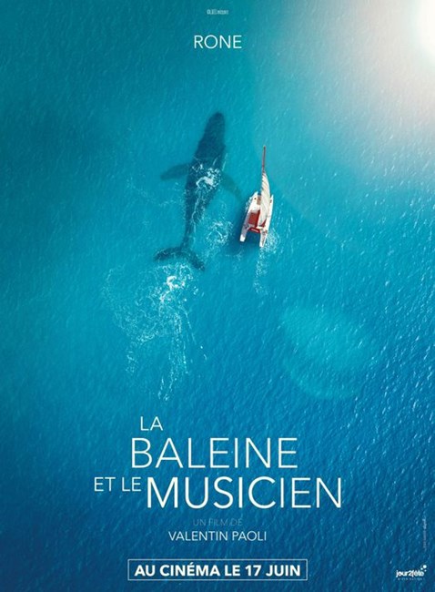 Affiche du film La Baleine et le musicien