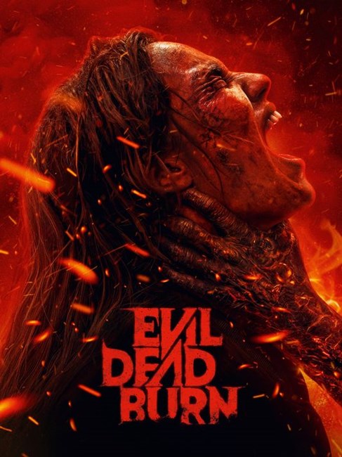 Affiche du film Evil Dead Burn