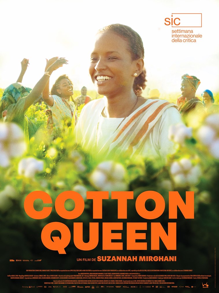 Affiche du film Cotton Queen