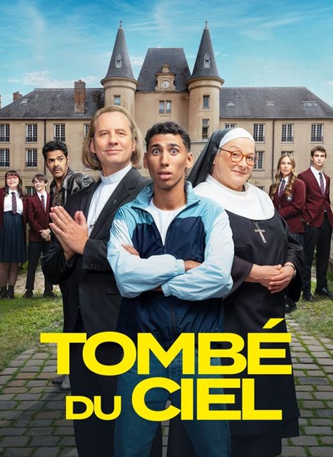 Affiche du film Tombé du ciel
