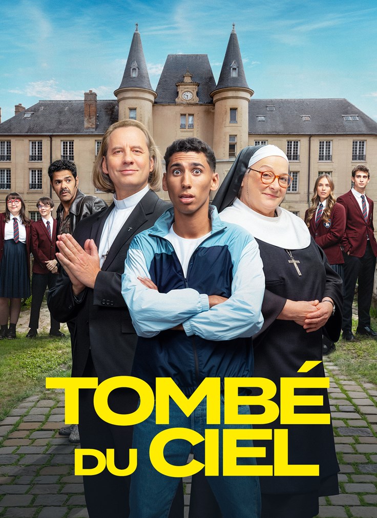 Affiche du film Tombé du ciel