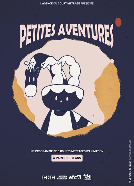 Affiche du film Petites aventures