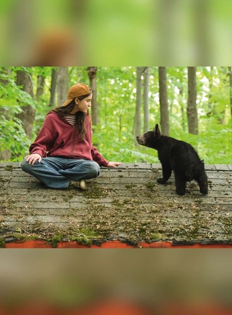 Affiche du film Melody pour un ours